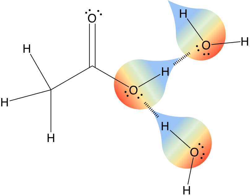 Intermolecular Forces Review | Organic Chemistry Help