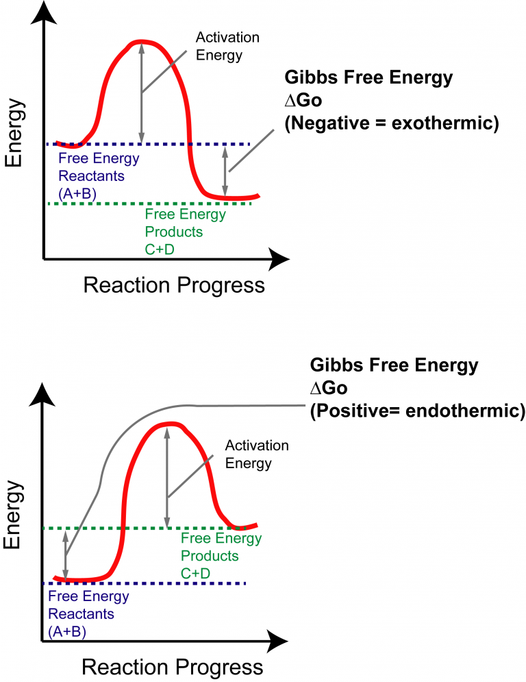 How To Interpret Thermodynamics Of Reactions