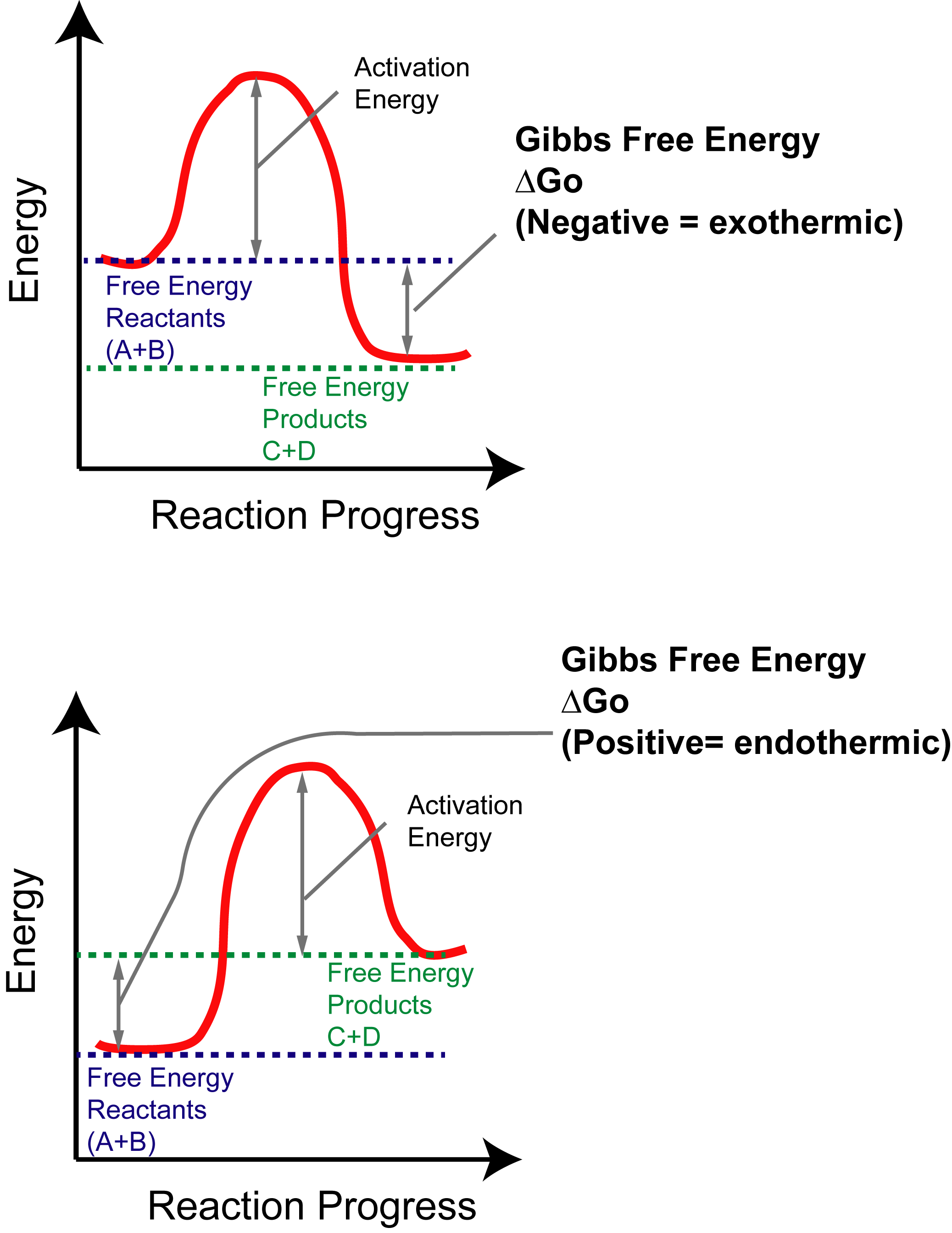 Reaction Pathway Diagram Chemistry